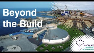 Flooring It - Beyond the Build vlogs
