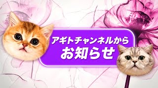 アギトからの大事なお知らせ！スーパーロボット大戦をご視聴する際の注意と説明