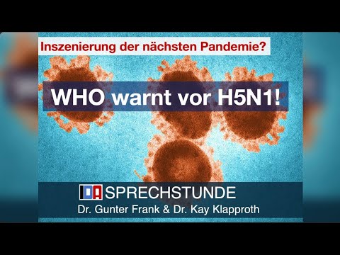 Inszenierung der nächsten Pandemie? WHO warnt vor H5N1-IDA-SPRECHSTUNDE:Gunter Frank & Kay Klapproth