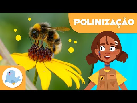 🌼 What is POLLINATION? 🐝 Pollination for Kids 🍓