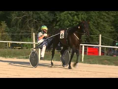 JOŽE SAGAJ ML. - Najboljši VOZNIK v kasaški sezoni 2013