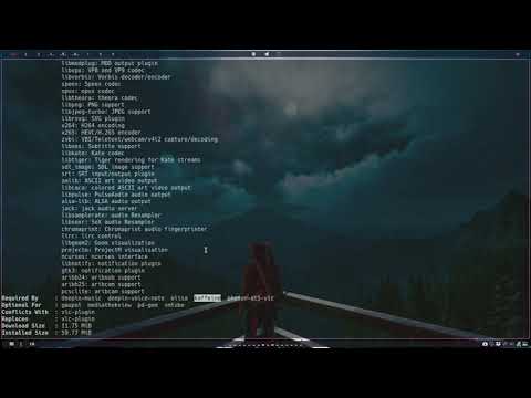 ArcoLinux : 2400 Remember this pacman switch - Can I remove package x - sudo pacman -Sii ...