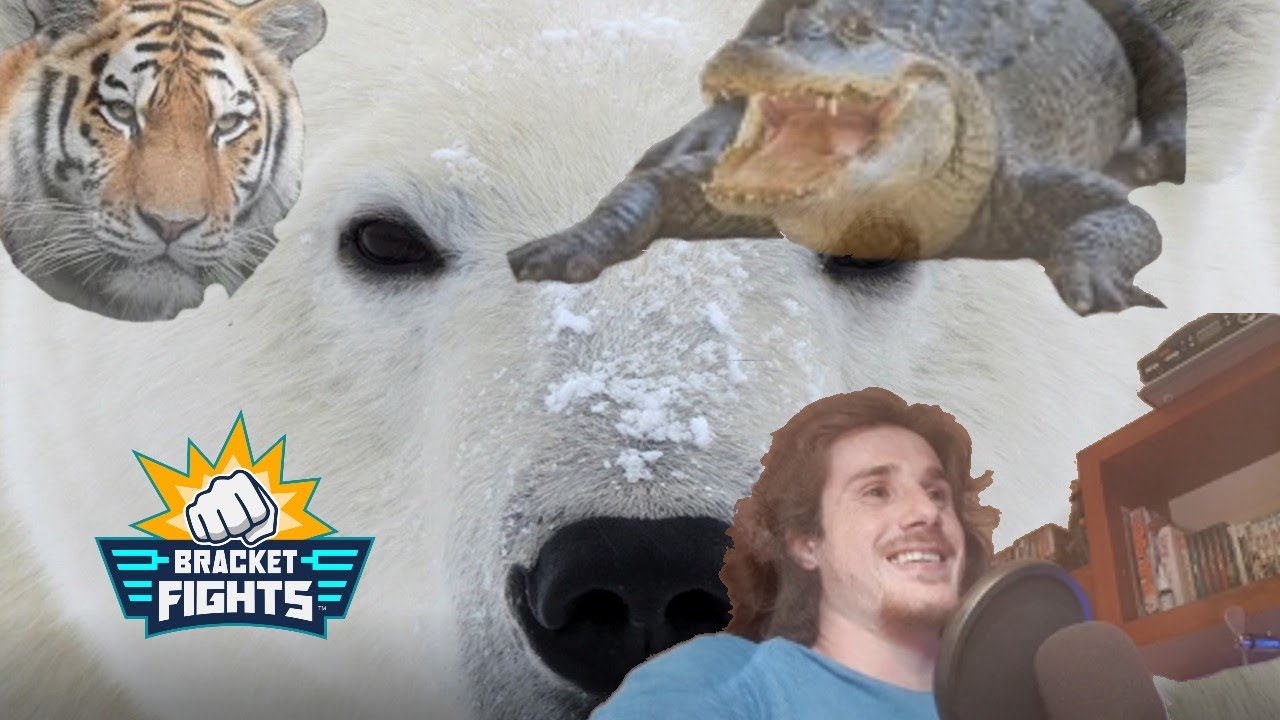 BRACKET FIGHTS #1 Animals