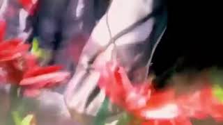 Download lagu Pendekar rajawali yoko bibi lung eps 43 sub indo mp3