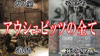 大量虐殺施設「アウシュビッツ強制収容所」に行ってきた【ガス室公開】