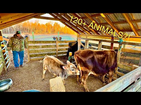 Choring ALONE! Farm TOUR!