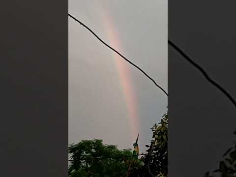 dhanak #shorts #rainbow
