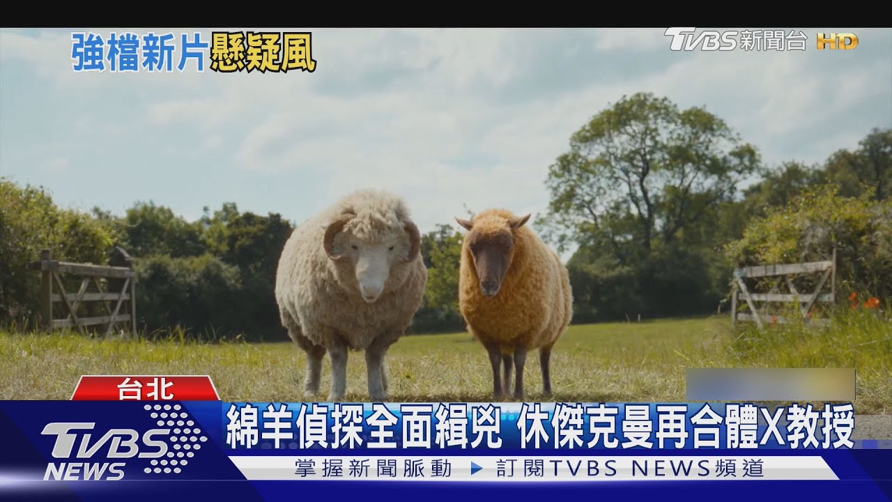 狼走了羊來了! 休傑克曼《綿羊偵探團》慘遇害 《家弒服務》口碑熱