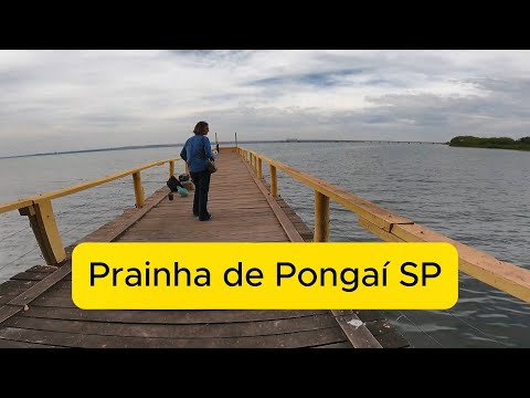 PRAINHA DE PONGAÍ SP