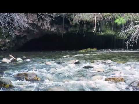 Elliott Photo and Video video.