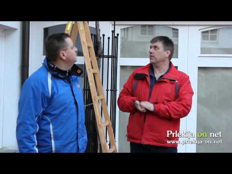 Rez vinske trte v Ljutomeru