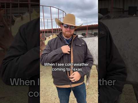 When cold weather hits Texas. #cold #cowboy #ranching