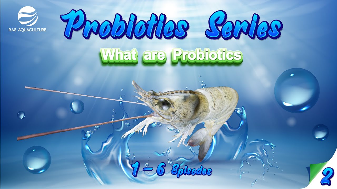 What are Probiotics? | Probiotic series Episode 02
