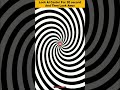 Amazing Hypnosis Optical Illusion Opticalillusion