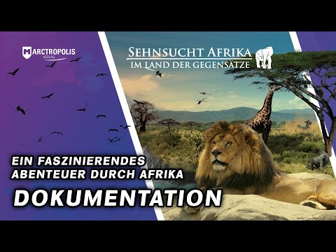 Dokumentation 🦁 Sehnsucht Afrika 🐈 HD 🦍 Sansibar 🦩 Natur 🌍 Reisen | Africa