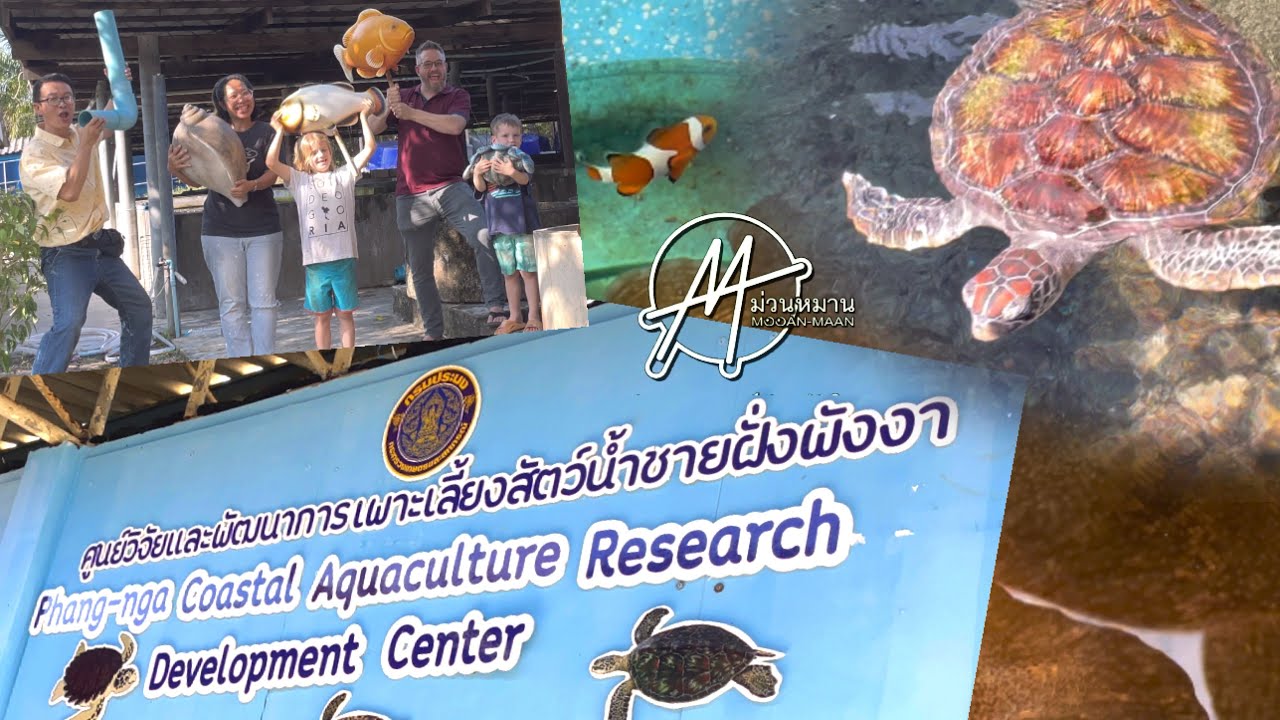 Phang Nga Coastal Aquaculture Research and Development Center