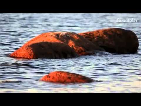 Tom Colontonio Feat Michele Karmin   Colors Of A Tear Suncatcher Remix VIDEO #