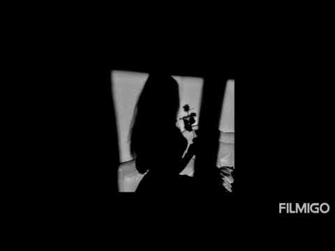 Doli x kaczka x obi - "nie chce" (tekst)