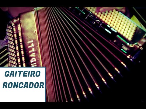 Gaiteiro Roncador - Os Filhos do Rio Grande