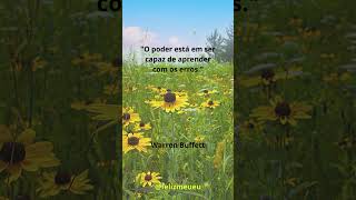 Aprender com os Erros
