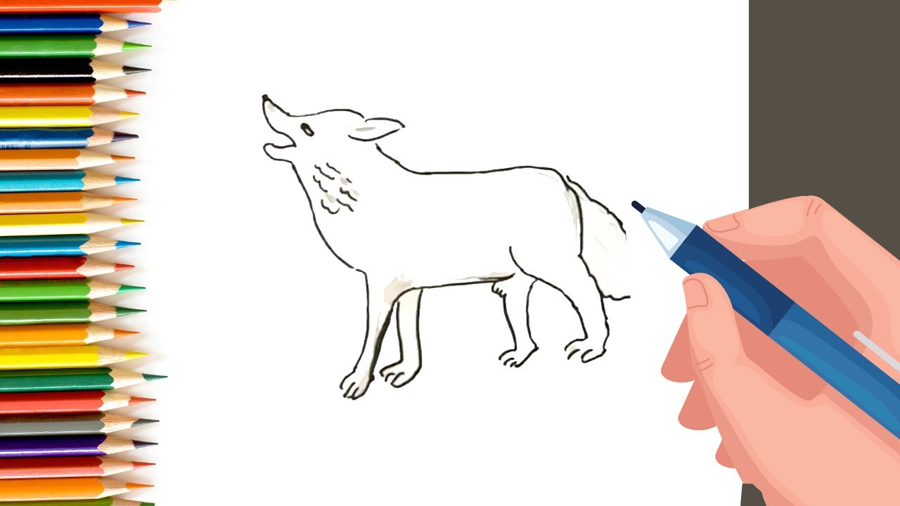 How to draw a Wolf howling
