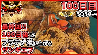 【100日目最終回】100日後にプラチナ帯に上がるザンギエフ！！【ストリートファイターV CE】