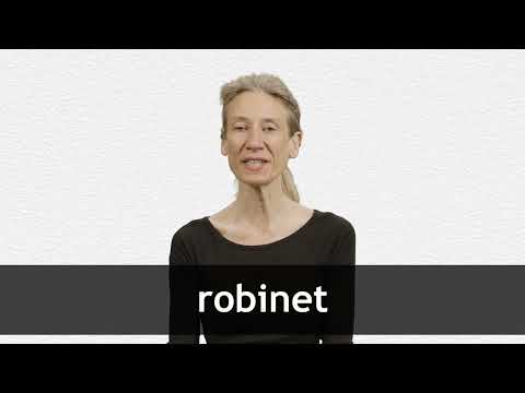 How to pronounce ROBINET in French