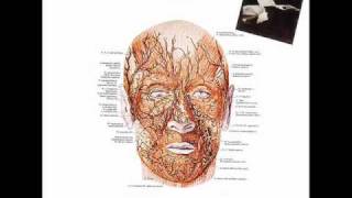 Area - Caos (parte seconda)