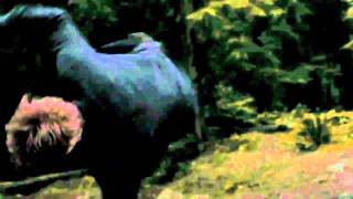 With You In My Head - U.N.K.L.E (feat. Black Angels)