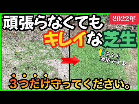 芝生でノコギリソウと戦う トピックス