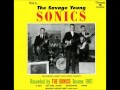 The Sonics - Rumble