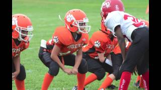 preview picture of video 'Edwardsville Tiger 9U Football & Cheerleaders'