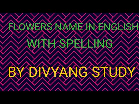 Flowers Name In Hindi And English With Spelling By Pranjali Mam