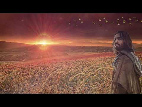 Jesus The harvest is plentiful, but the workers are few   animated video background loop