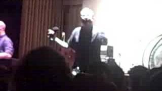 The Hold Steady -- Hornets, Hornets