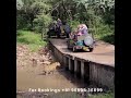 Ranthambore Tiger Safari Sawai Madhopur Ranthambore National Park