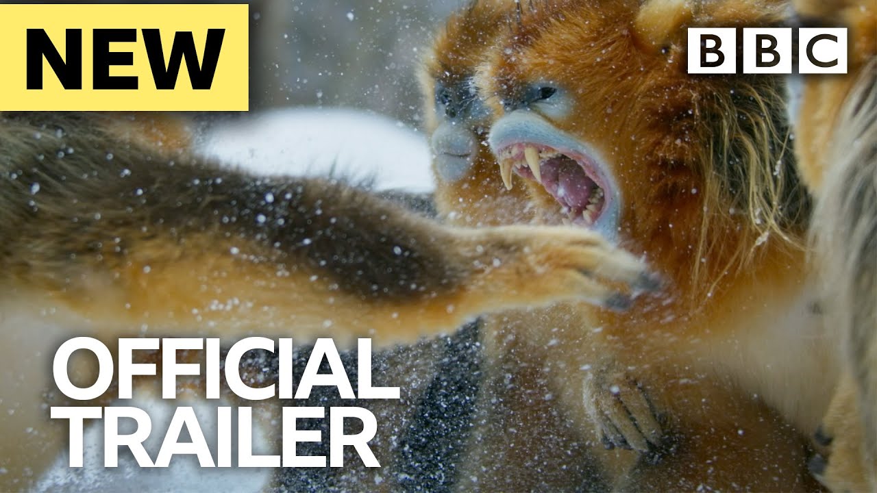 Seven Worlds, One Planet: Trailer - BBC