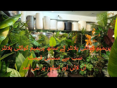 Home Decor Artificial Plants Premium Quality Planter Cheapest Price 