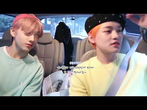 #sungle🐹🐬 Like a fool - Nlve x samkim