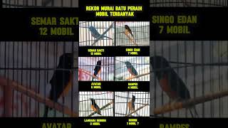 Download lagu Rekor Murai Batu Peraih Mobil terbanyak #muraibatu #avatar #rampes #minion #semarsakti #singoedan mp3