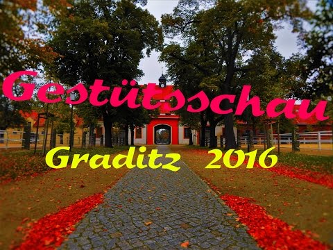 Gestütsschau Graditz 2016 | Hauptgestüt | Sachsen |