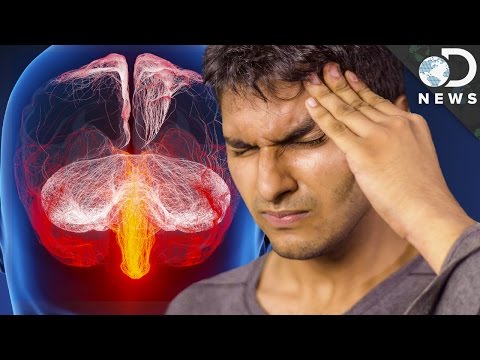 なぜ偏頭痛になるのか？ (Why Do We Get Migraines?)