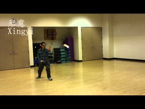 Sample Moves Bagua Dragon Flying Needle, Bagua, Xingyi and Taiji