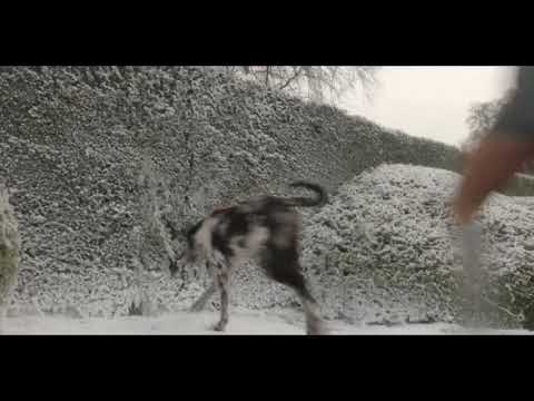 Could Be There - Dastic Feat. Jaimes