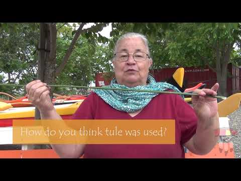 Napa Valley's First Peoples Series: The Many Uses of Tule