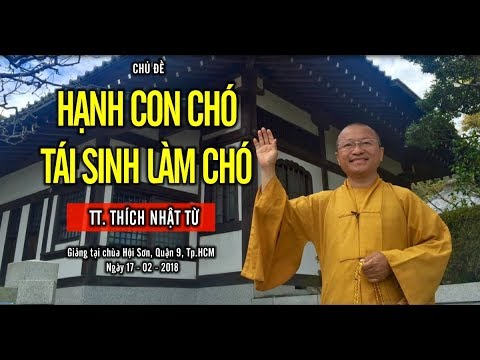 Hạnh Con Chó Tái Sinh Làm Chó - TT. Thích Nhật Từ