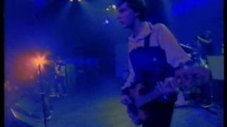 Shed Seven - In Command