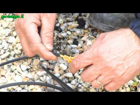 Alcolizzato di marito questo Trattamento di dipendenza alcolica in Novopolotsk