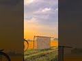 Gaav Anthem By Rajal Choudhary Farm Proudfarmer Agricultural Shortsfeed Agriculture