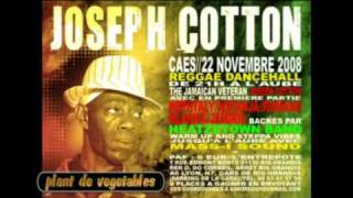 Joseph Cotton-Plant De Vegetables (Mother Long Tongue Riddim 2002)
